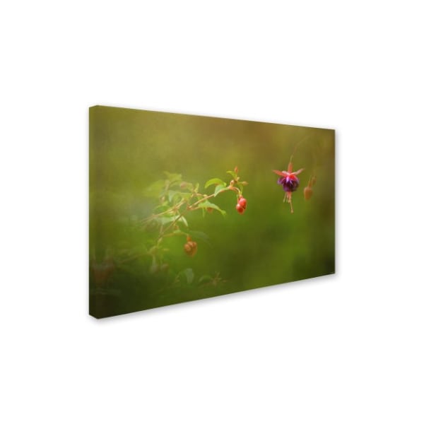 Jai Johnson 'Fuchsia Buds And Bloom' Canvas Art,12x19